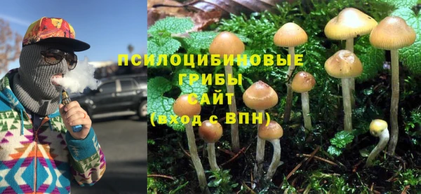 стаф Алексеевка