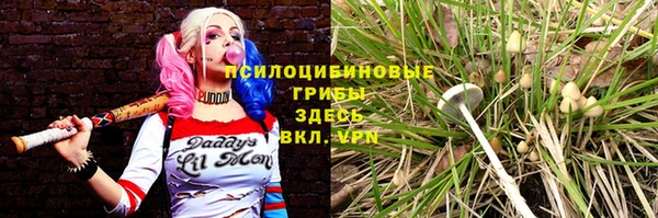 стаф Алексеевка