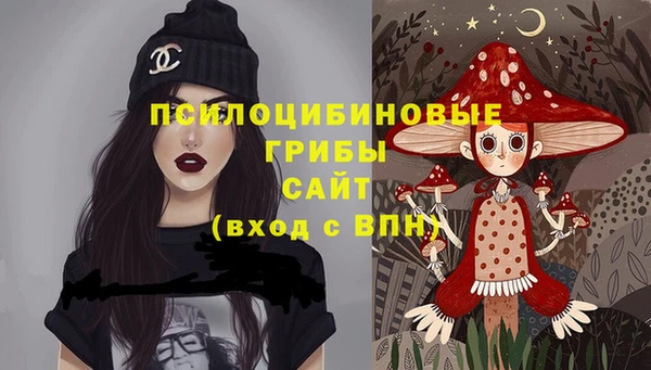 метадон Алексин