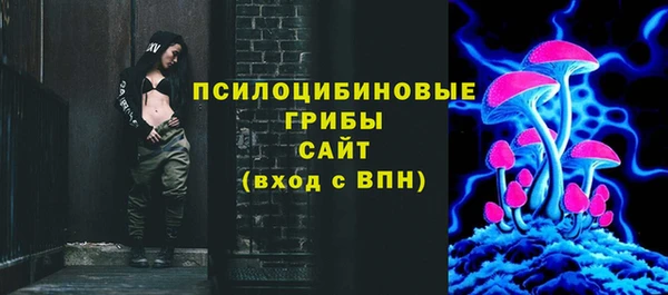 стаф Алексеевка