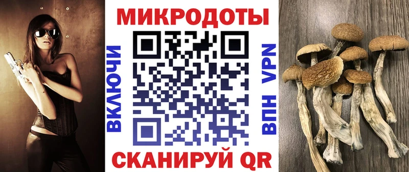 Галлюциногенные грибы MAGIC MUSHROOMS  Дзержинск 